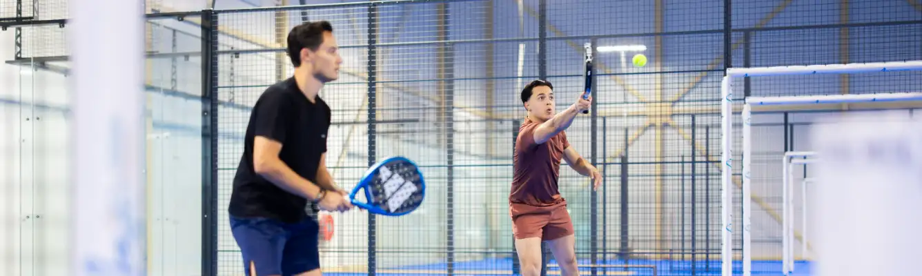 King of the Court - Middageditie